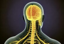 “척추 변형 치료를 위한 신경 가동성 기술, 효과적인 대안으로 주목”