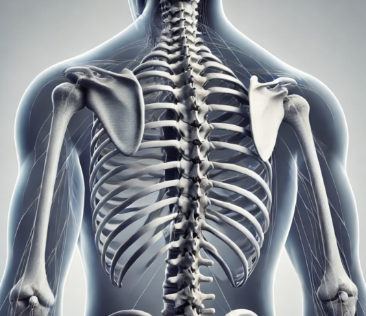 척추측만증, 성장기 관리와 치료의 중요성